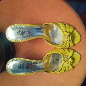 Charles David sandals